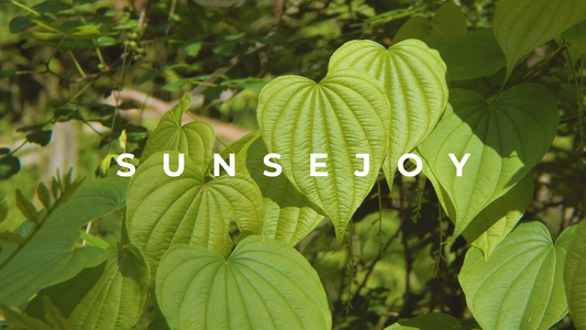 A Natural Remedy with Deep Medicinal Roots
