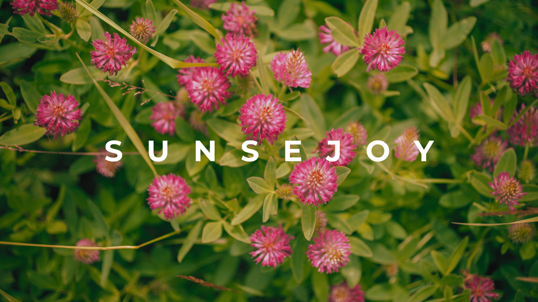 A Botanical Treasure for Skin and Wellness